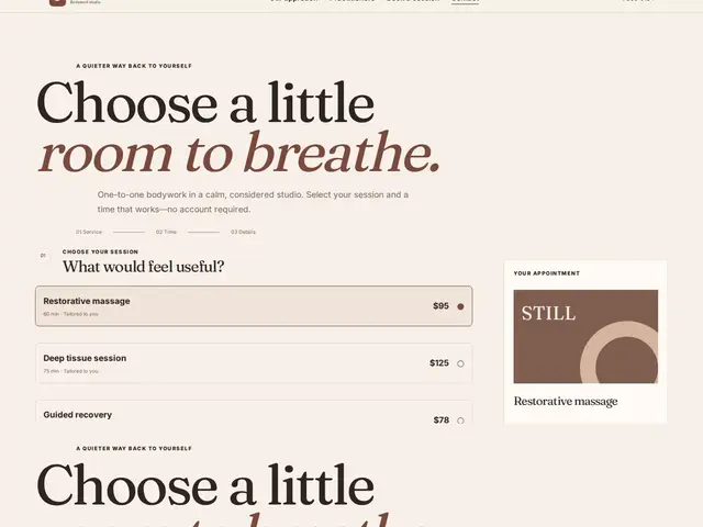 Booking Scheduler WordPress theme preview