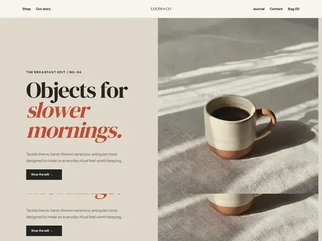 Ecommerce WordPress theme preview