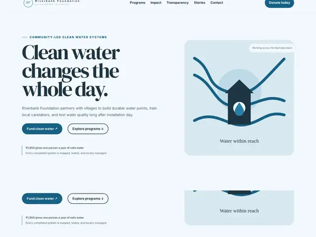 Ngo Charity WordPress theme preview