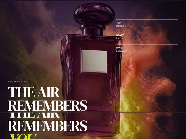 Perfume Sillage Composer WordPress theme preview