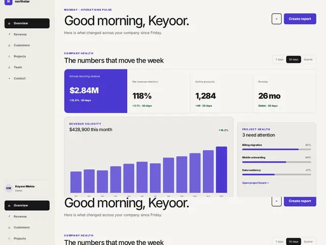 Saas Dashboard WordPress theme preview