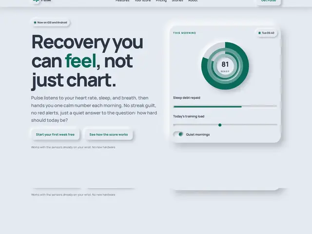 Neumorphism WordPress theme preview